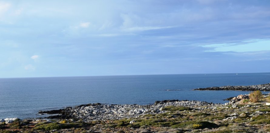 19300m² Land in Chania, Greece No. 58285