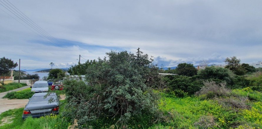 2367m² Land in Agios Nikolaos, Greece No. 56595