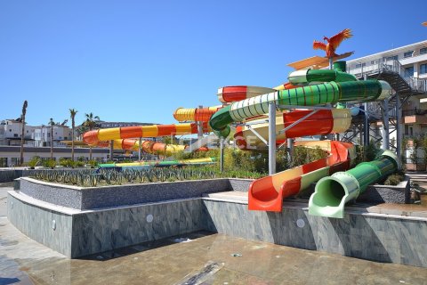 2 bedrooms Apartment in Chau Lang, Vietnam No. 88651 19