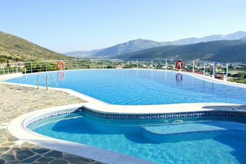 12 dormitorios Hotel en Marathon, Greece No. 107843 15