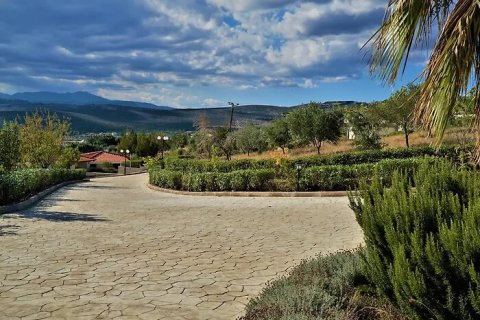 12 dormitorios Hotel en Marathon, Greece No. 107843 19