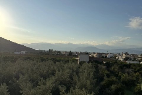 Дом с 3 спальнями в Арголида, Греция №108469 5