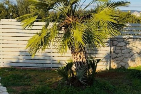 Дом с 3 спальнями в Арголида, Греция №108469 25