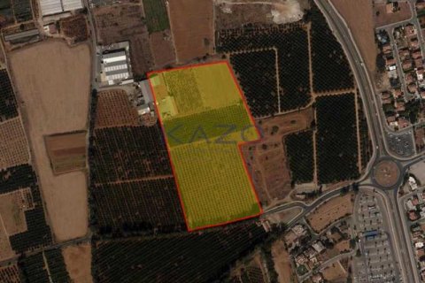 114191m² Land in Kato Polemidia, Cyprus No. 80104 2