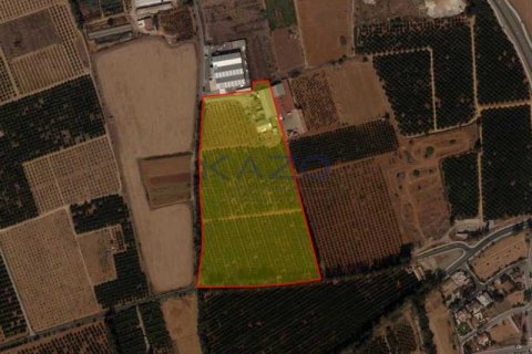 114191m² Land in Kato Polemidia, Cyprus No. 80104 1
