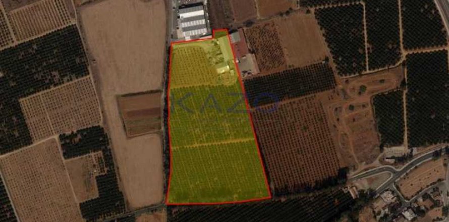 114191m² Land in Kato Polemidia, Cyprus No. 80104