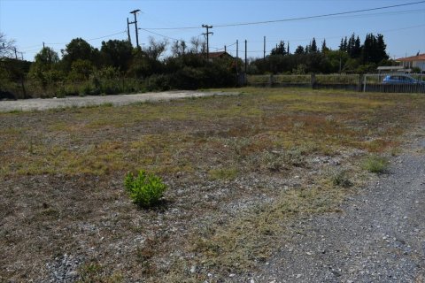 600m² Building in Thermaic Gulf, Greece No. 56960 6