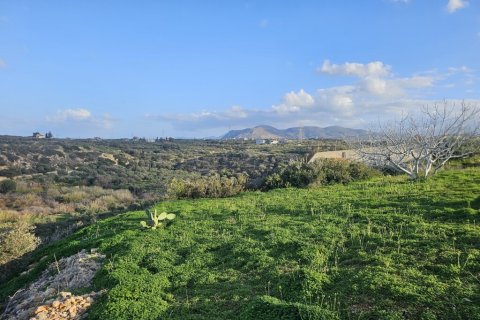 5000m² Land en Heraklion, Greece No. 121490 4