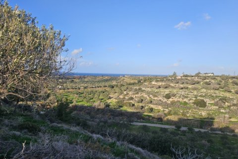 5000m² Land en Heraklion, Greece No. 121490 2