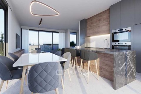 3 bedrooms Villa in Geroskípou, Cyprus No. 39891 8