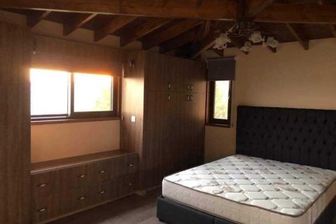 Дом с 9 спальнями в Агиос Афанасиос, Кипр №29626 11