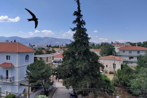 4 rooms Duplex in Athens, Greece No. 55978 2