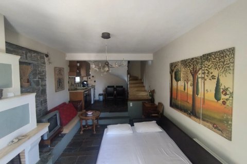 Отель, гостиница 318м² в Тасос, Греция №59160 26