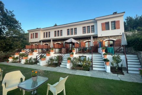 Отель, гостиница 318м² в Тасос, Греция №59160 13