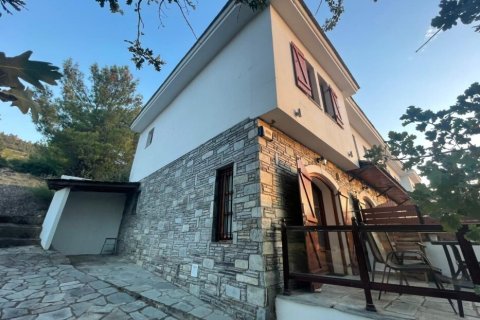 Отель, гостиница 318м² в Тасос, Греция №59160 27