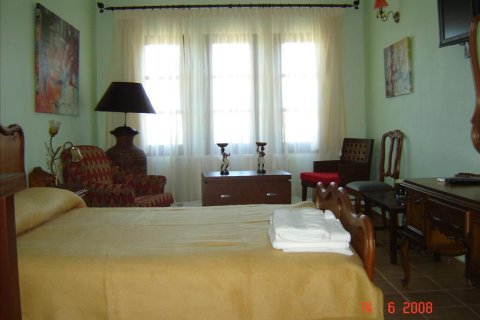 Отель, гостиница 318м² в Тасос, Греция №59160 6