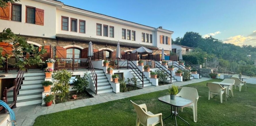 Отель, гостиница 318м² в Тасос, Греция №59160
