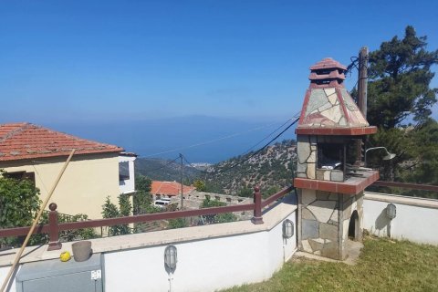 Отель, гостиница 318м² в Тасос, Греция №59160 15