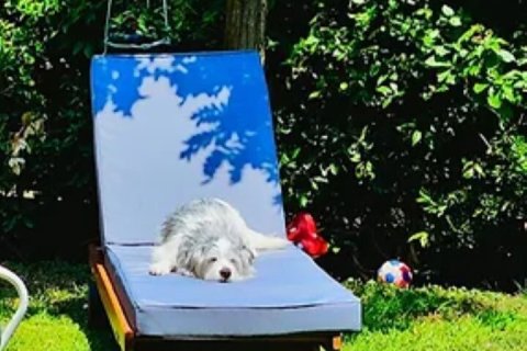 2 bedrooms House in Chalkidiki, Greece No. 109060 18