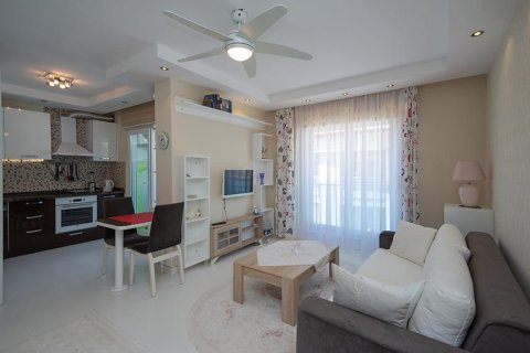 3 rooms Apartment in Chau Lang, Vietnam No. 21514 15