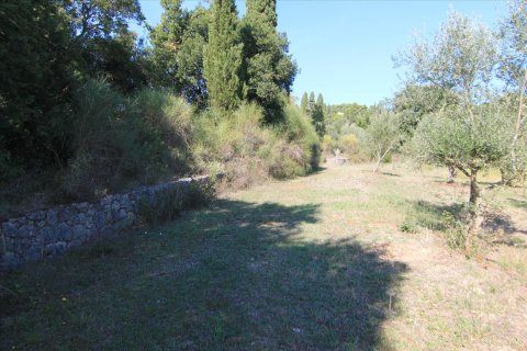 27750m² Land en Corfu, Greece No. 57842 19