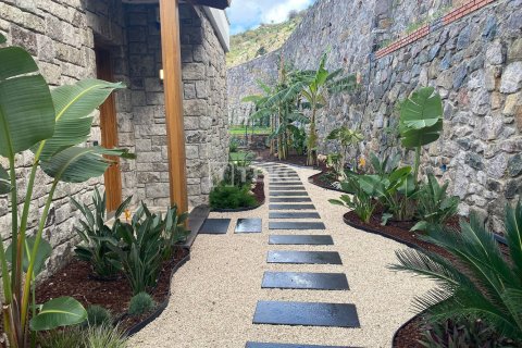 4 bedrooms Villa in Phi Dien, Vietnam No. 14931 26