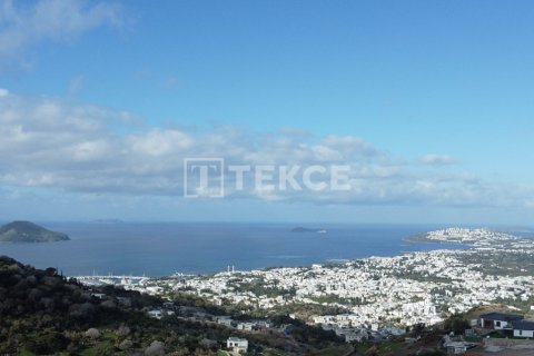 4 bedrooms Villa in Phi Dien, Vietnam No. 14931 21