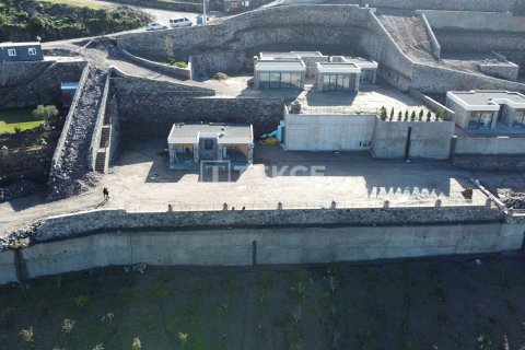 4 bedrooms Villa in Phi Dien, Vietnam No. 14931 22