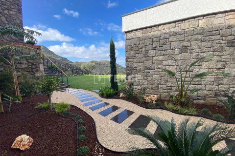 4 bedrooms Villa in Phi Dien, Vietnam No. 14931 27