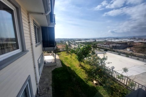 3 chambres Villa à Nong Ha, Vietnam No. 15198 16