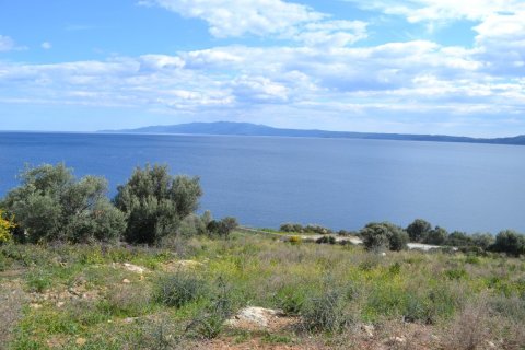 15000m² Land in Chalkidiki, Greece No. 58827 4