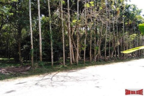 25600m² Land en Phang Nga, Thailand No. 95979 2