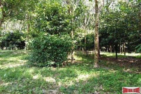 25600m² Land en Phang Nga, Thailand No. 95979 6