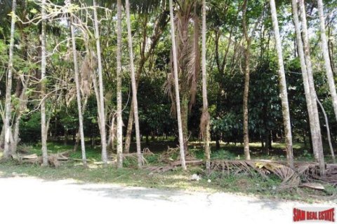 25600m² Land en Phang Nga, Thailand No. 95979 7