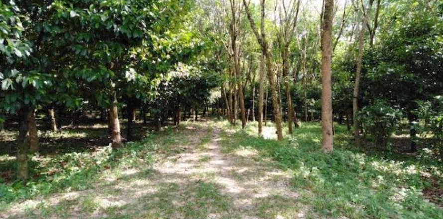 25600m² Land en Phang Nga, Thailand No. 95979