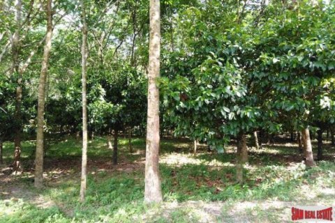 25600m² Land en Phang Nga, Thailand No. 95979 5