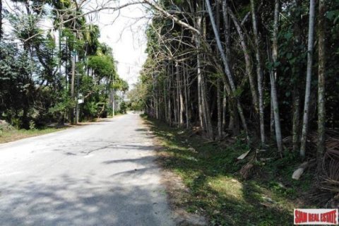 25600m² Land en Phang Nga, Thailand No. 95979 8