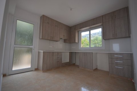 6 bedrooms House in Pegeia, Cyprus No. 37199 8
