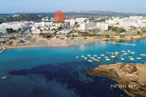 5 bedrooms House in Protaras, Cyprus No. 30449 3