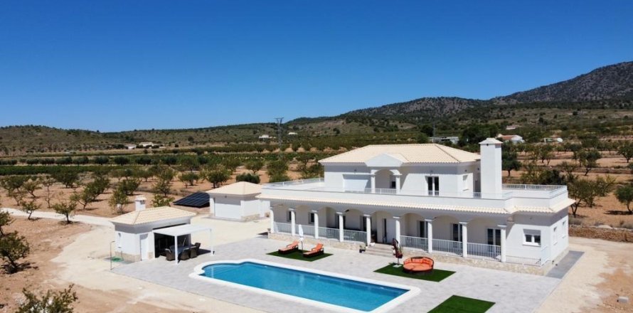 6 chambres Villa à Pinoso, Spain No. 111578