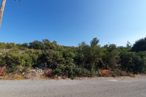 5423m² Land à Agios Nikolaos, Greece No. 109544 3