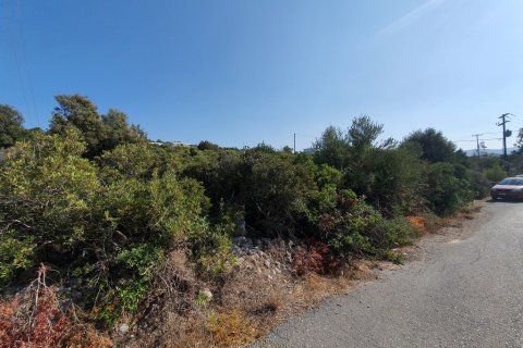5423m² Land à Agios Nikolaos, Greece No. 109544 2