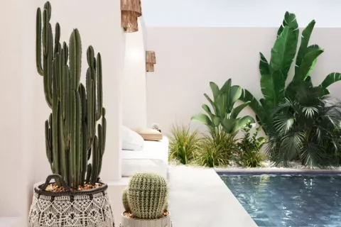 Вилла с 3 спальнями в Самуй, Таиланд №3164 25