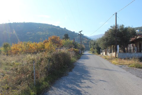 9200m² Land in Pieria, Greece No. 108833 4