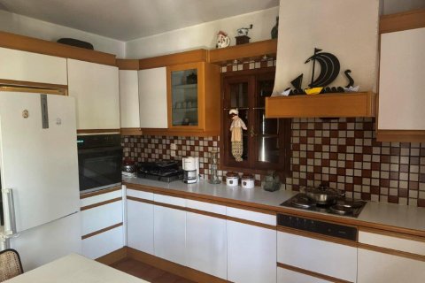 5 bedrooms House in Magnesia, Greece No. 62383 16