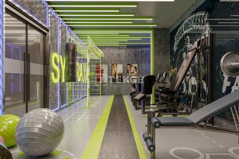 4 bedrooms Penthouse in Chau Lang, Vietnam No. 12871 24