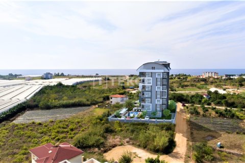 4 bedrooms Penthouse in Chau Lang, Vietnam No. 12871 3