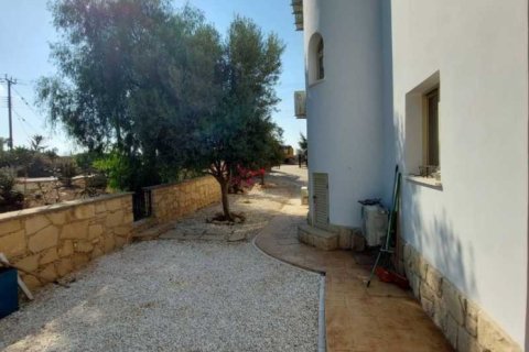 4 chambres Villa à Pegeia, Cyprus No. 100479 5