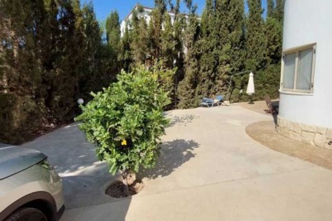 4 chambres Villa à Pegeia, Cyprus No. 100479 9