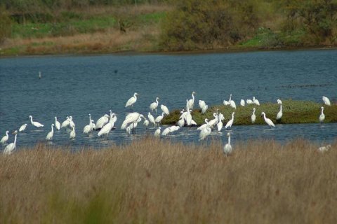 250m² Villa in Corfu, Greece No. 60478 24